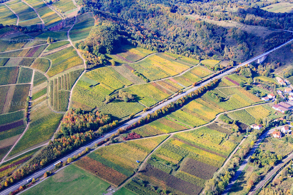 Luftbild: Weinlage Kastanienbusch an der B10 in Albersweiler im Bundesland Rheinland-Pfalz in Deutschland. Foto: IMG_22318.jpg vom 15.10.2009 durch Werner Riehm/FLY-FOTO.de