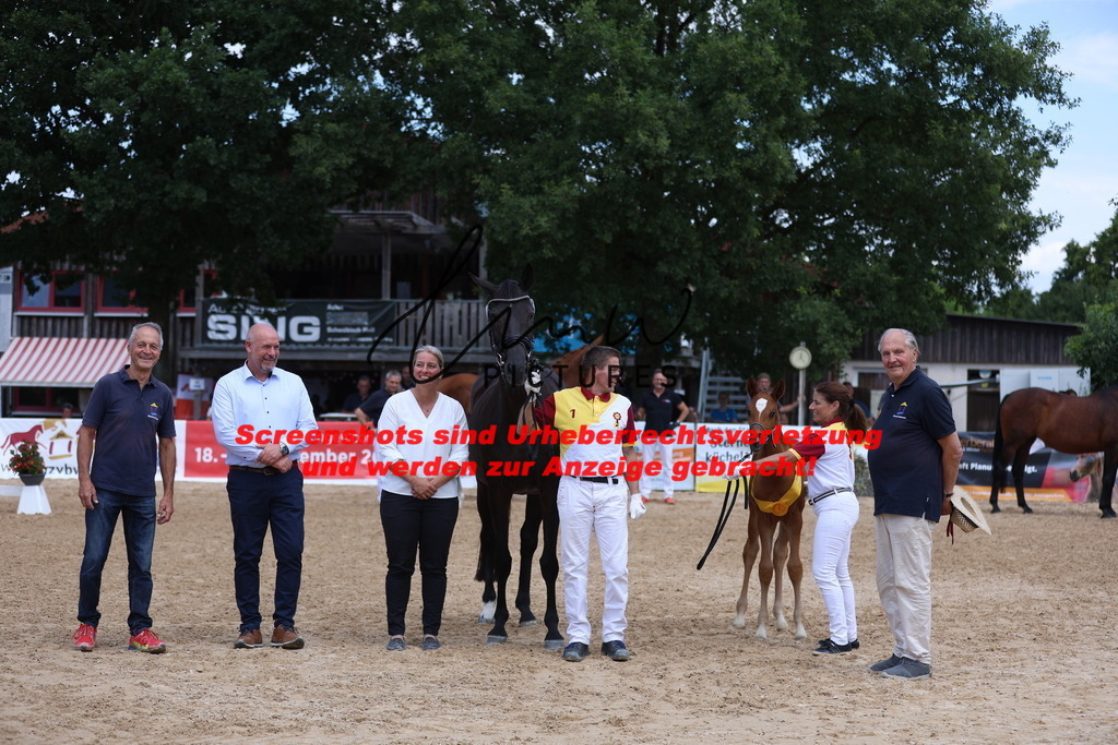 Fohlenschau_Schwäbisch_Hall_dressurbetonte_Fohlen_SIEGERFOHLEN_KN 4_8 | lmwpictures - Realisiert mit Pictrs.com