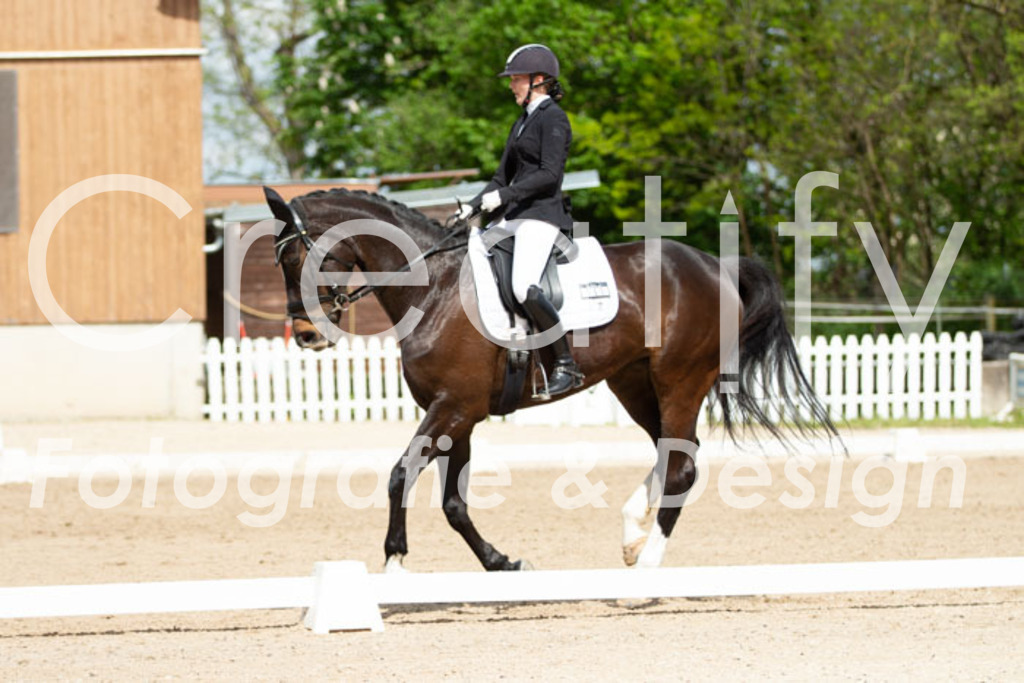 IMG_5052 | Creatify Fotografie