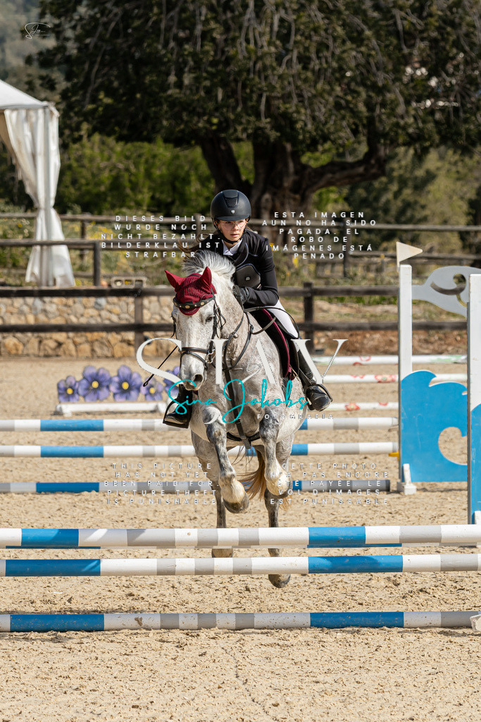 IMG_4245 | s-jay-photography - Realisiert mit Pictrs.com