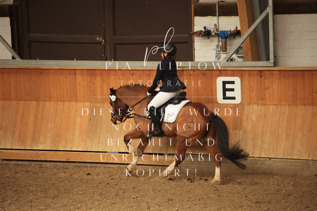 IMGT5800 | pl-fotografie