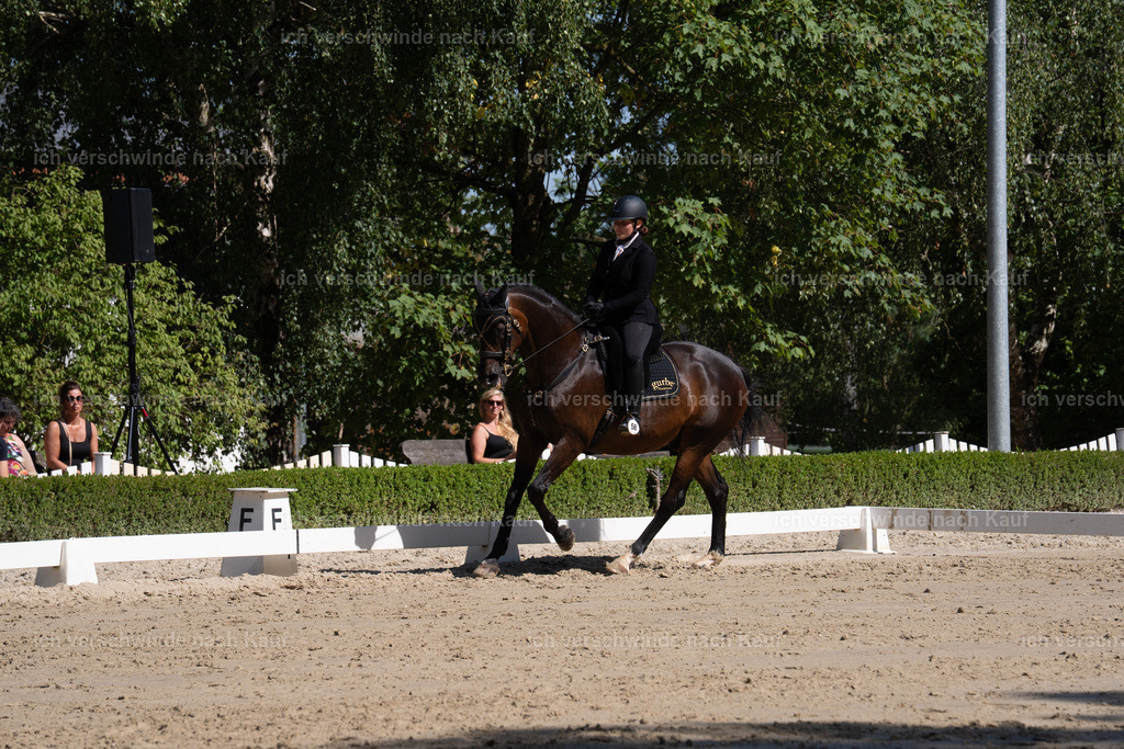WL_DR_58_sinafilmart_IN07087 | working equitationturnier fotograf videograf stoibphotography marixx film working equitation deutschland reitsport turnierfotografie eventfotografie equestrian events