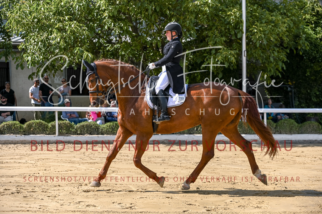 Schugtsche-Aluta25-58. Dressurprf.S1Kand.St.GeorgSpecial-238 | Schugtsche Fotografie - Realisiert mit Pictrs.com