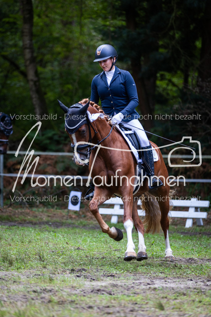 HB-A-Dressur-185 | MomenTaufnahmen Pferdesportfotos