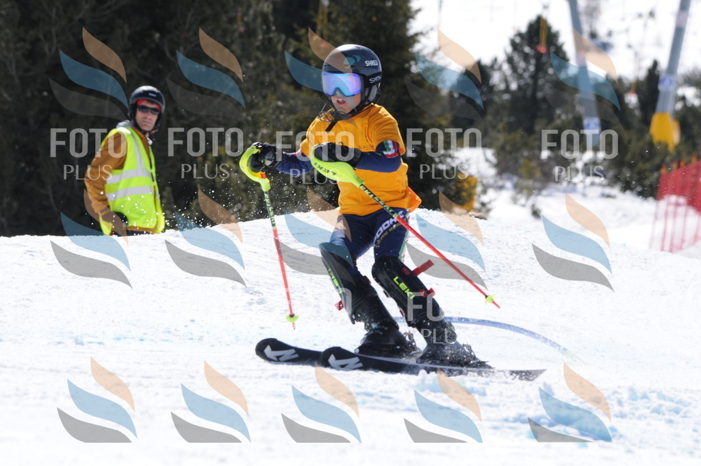 C9338 | holidayphoto