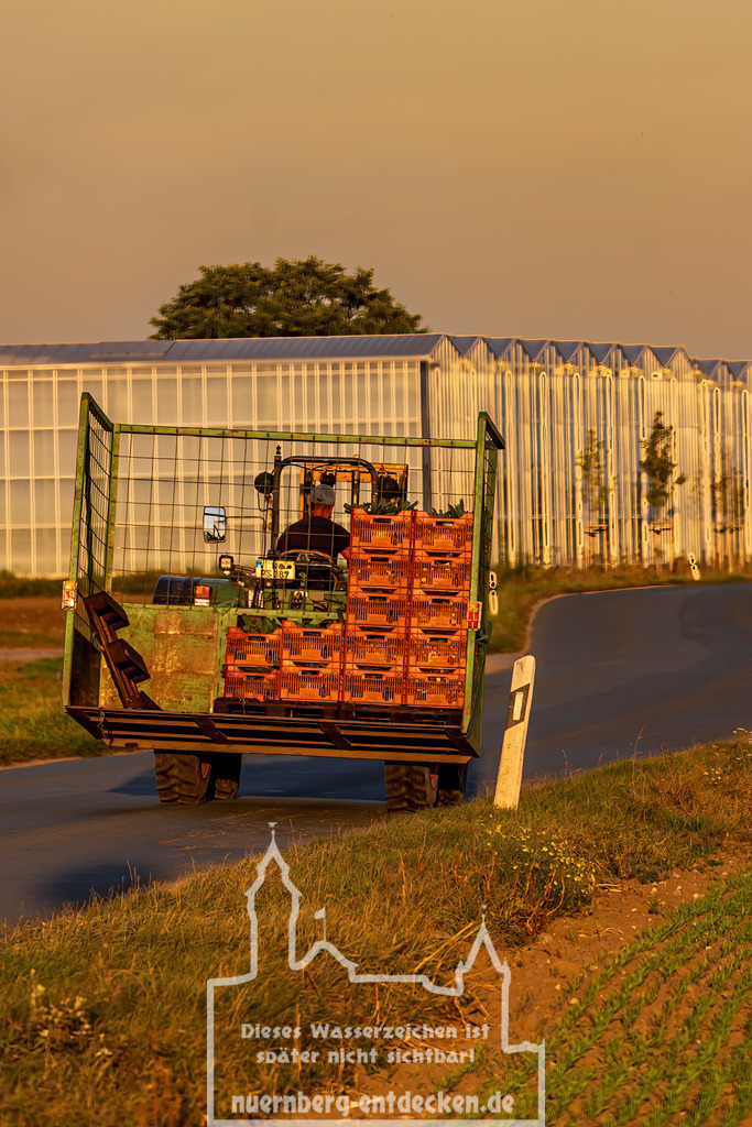 Knoblauchsland Nürnberg-Fürth | Ein Landwirt bringt am Abend seine Ernte mit dem Traktor zurück zu seinen Hof im Knoblauchsland. Das Knoblauchsland ist bekannt für seine stadtnahen Gemüseanbau und die Versorgung der Region mit frischen Gemüse. - Realisiert mit Pictrs.com