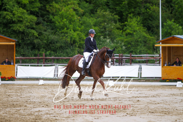 DKP47494 | Turniersportfotografie; Pferdefotografie; Dressurfotografie