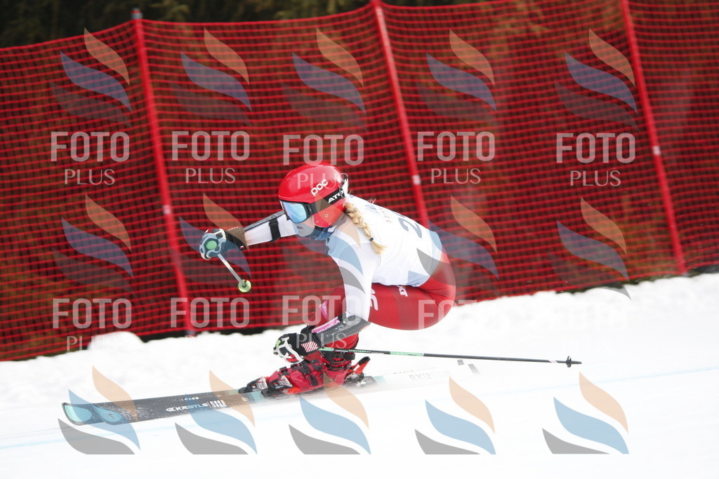 D5054 | holidayphoto