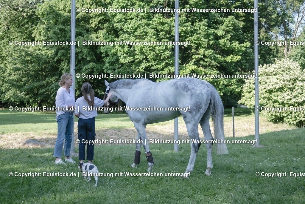 ZFC_4139 | equistock