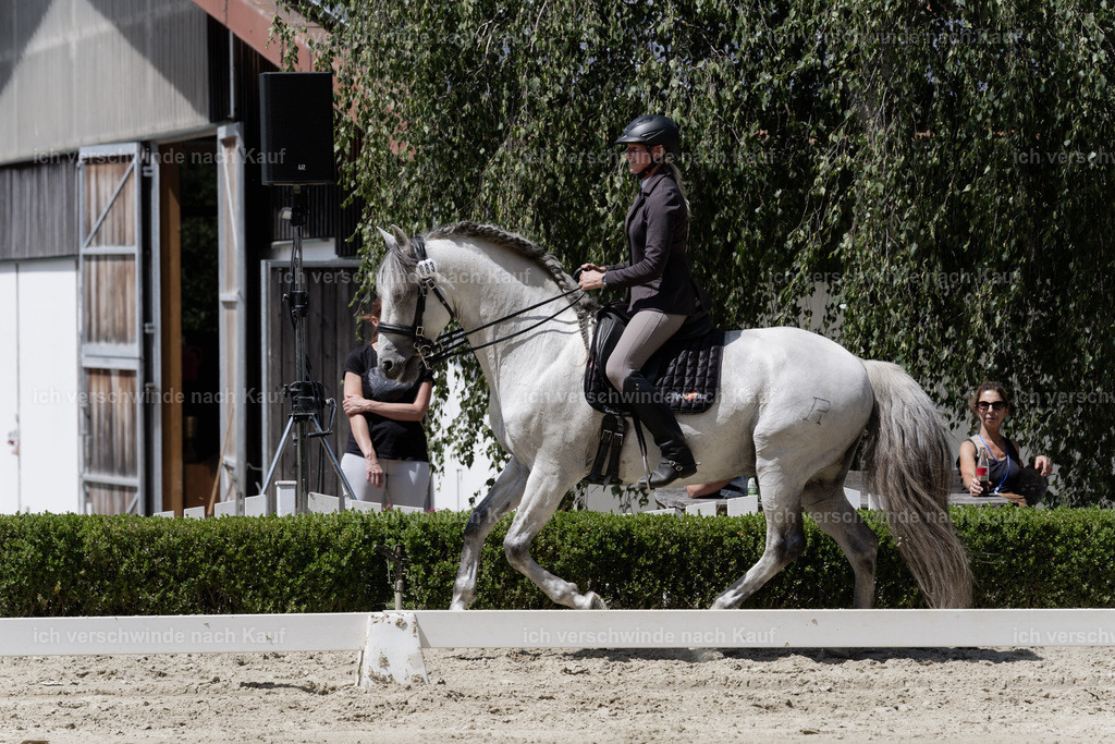 WS_DR_83_sinafilmart_IN08811 | working equitationturnier fotograf videograf stoibphotography marixx film working equitation deutschland reitsport turnierfotografie eventfotografie equestrian events