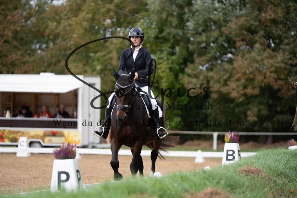 A7V05192 | Pferdefotograf