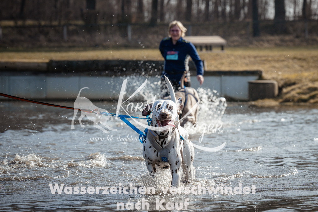 1103_ZZ91975 | kk-dogfotos