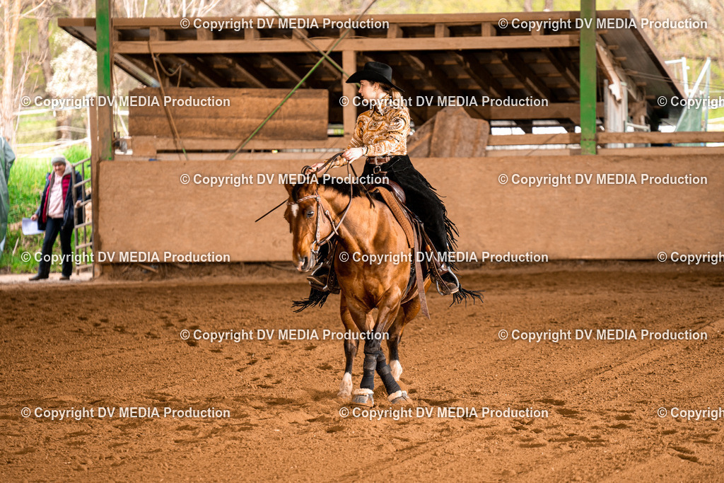 BAL00997 | dv-media-shop - Realisiert mit Pictrs.com