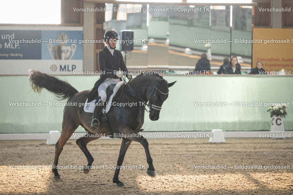 _D5A7656 | Emotionale Pferde- & People-Fotografie rund um Heidelberg, Leimen & Umgebung. Natürliche Fotos von Pferd, Mensch & Familie. Jetzt Termin sichern!
