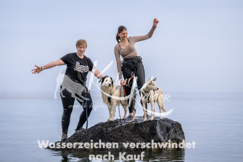 1209_ZZ90001 | kk-dogfotos