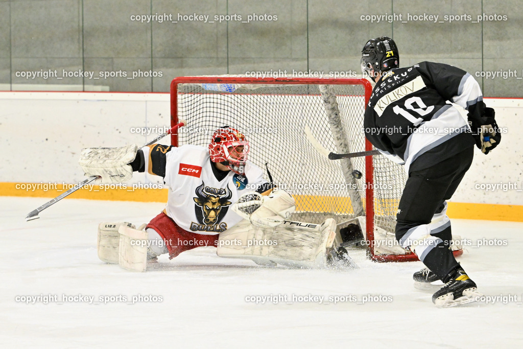 Kuss & Kuss Kings vs. Golden Bulls | #72 Kavic Jan Golden Bulls, #10 Daniil Kulikov Kuss & Kuss Kings, Kuss & Kuss Kings vs. Golden Bulls, Kuss & Kuss Kings vs. Golden Bulls am 30.05.2025 in Ferlach (HTC Eishalle Ferlach), Austria, (Photo by Bernd Stefan)