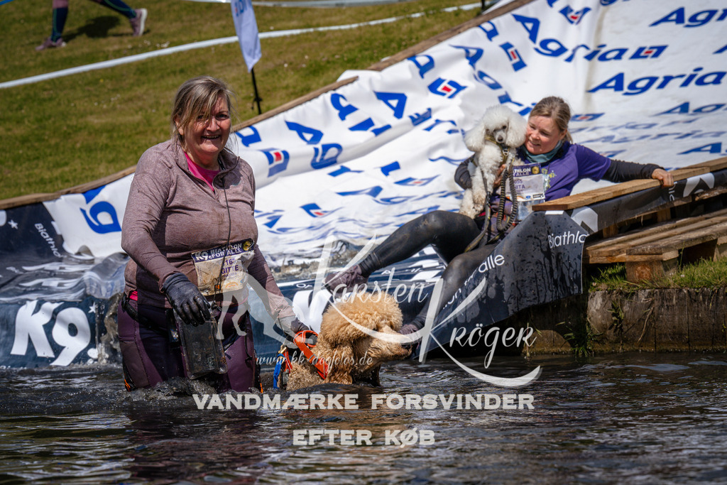 _ZZ970391022 | kk-dogfotos