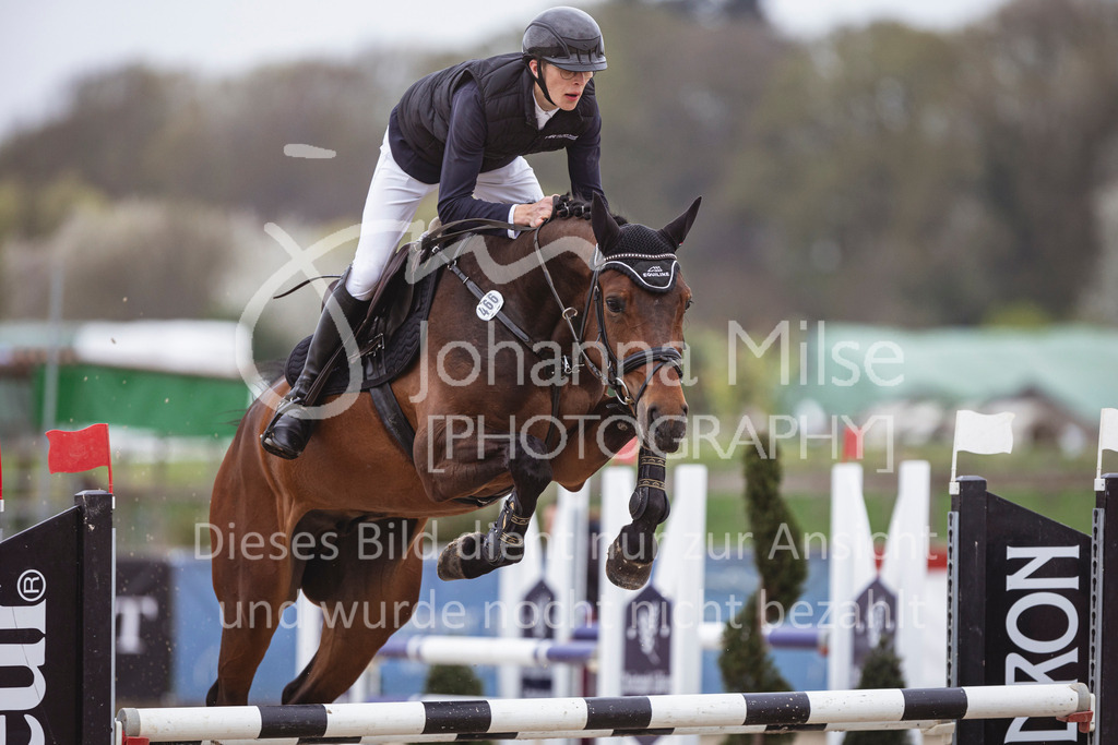 250417_Springpferde-L1-275 | Deine schönsten Turniermomente als professionelle Fotos! Entdecke hochwertige Pferdesport-Fotografie im Online-Shop. Jetzt Fotos finden & bestellen!