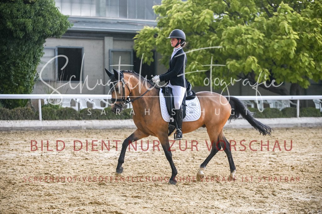 Schugtsche-Aluta25-55.Dressurreiterprf.L1Tr-236 | Schugtsche Fotografie - Realisiert mit Pictrs.com