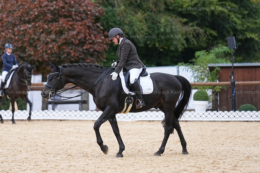 04_2-214-Dressur M__ -Marixx-3068 | working equitationturnier fotograf videograf stoibphotography marixx film working equitation deutschland reitsport turnierfotografie eventfotografie equestrian events