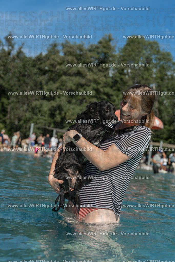 Hundeschwimmen_Volksbad_2026-allesWIRTHgut_Tierfotografie-2609061257-120725-7R500338 | Professionelle Tierfotografie in Mönchengladbach von Daniel Wirth (allesWIRTHgut). Liebevolle & natürliche Bilder von Hunden & Katzen für unvergessliche Erinnerungen.