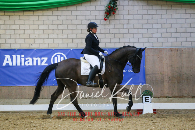 IMG_2904 | Turnierfotos kaufen im Webshop von Daniel Kuhl Photography – entdecke professionelle Reitsportfotos aus Turnieren & Events. Hochwertige Turnierbilder online bestellen & sichern. Jetzt Fotos von Reitsportturnieren kaufen!