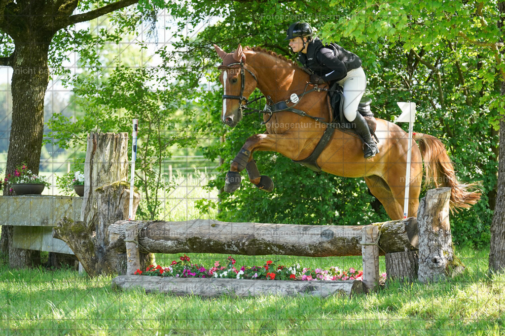 20240518-FAH04134 | Turnierbilder von Niederseon, Turnierfotografen Bayern, Fotoagentur Herrmann, Geländebilder, Reitsportfotografie