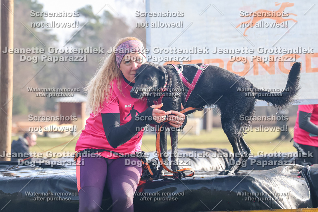 Dog Paparazzi - Strongdog North Mrz26-197 | Dog Paparazzi Jeanette Grottendiek Fotografie & Videografie - Realisiert mit Pictrs.com