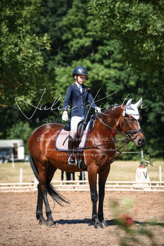 DSC_3474 | Pferde- und Turnierfotografie in Westsachsen. Pferdeportraits, Auftragszeichnungen und intuitive Kunst.