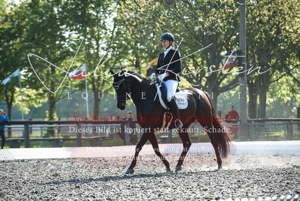 DSC_8397 | Pferde- und Turnierfotografie in Westsachsen. Pferdeportraits, Auftragszeichnungen und intuitive Kunst.