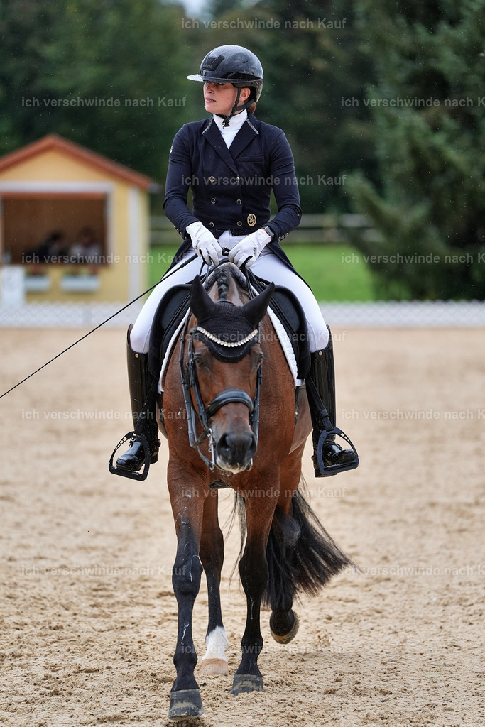 8_1-100-Klasse S_  -StoibPH-3889 | working equitationturnier fotograf videograf stoibphotography marixx film working equitation deutschland reitsport turnierfotografie eventfotografie equestrian events
