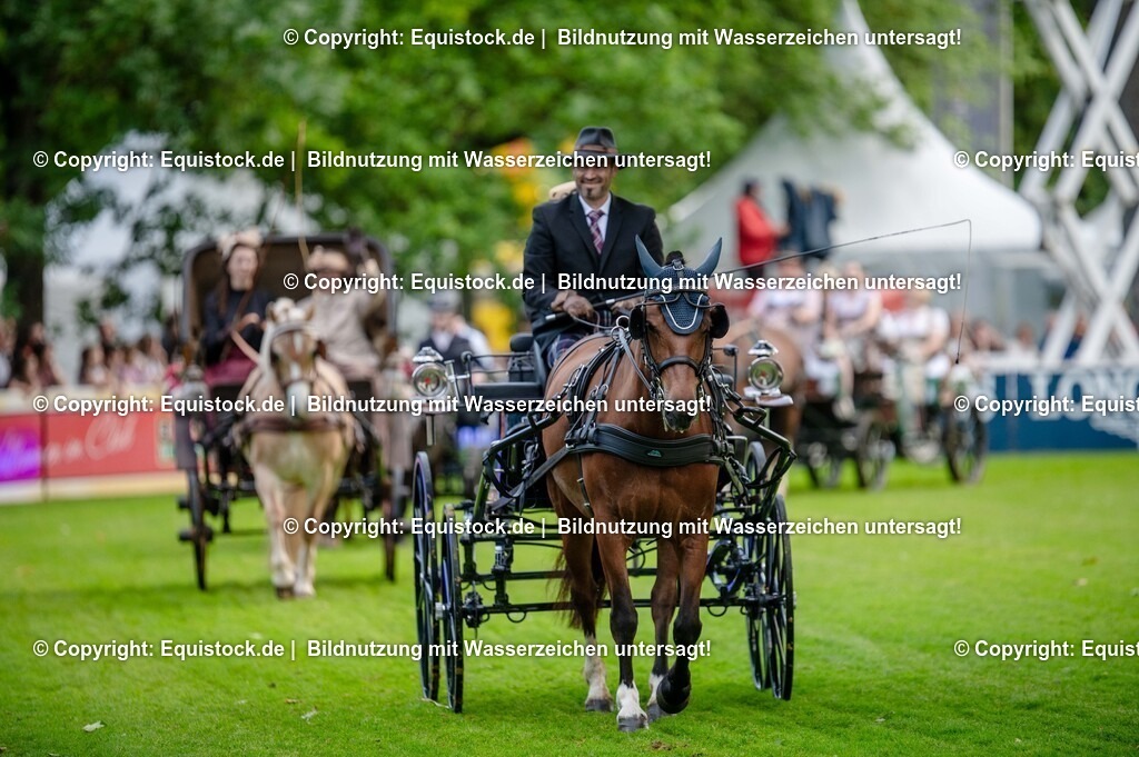 20250606_Lange-Pferdenacht_0198 | Foto: Thomas Hartig