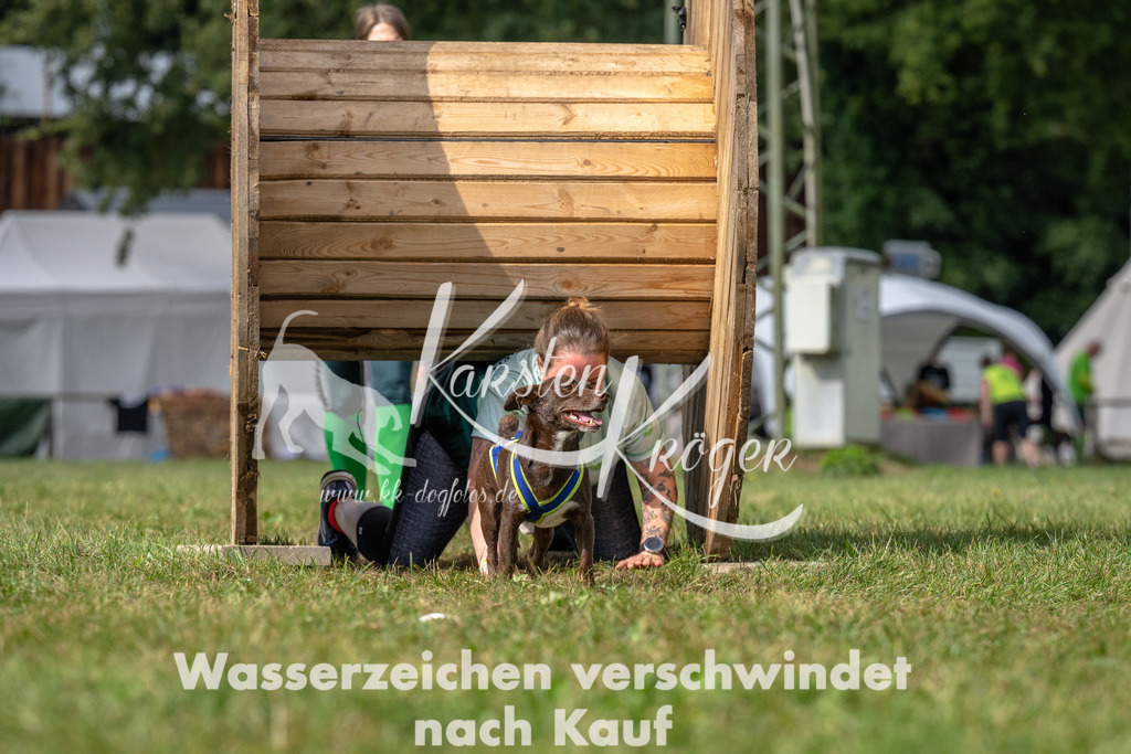 1211_ZZ92929 | kk-dogfotos