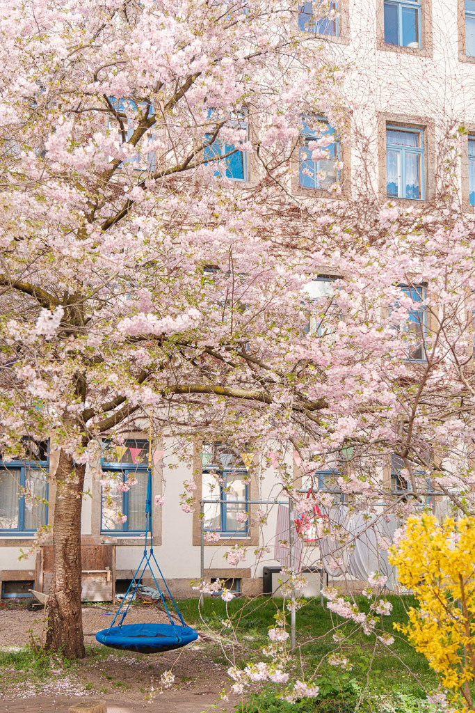 Hinterhof-Schaukel | Stephan Böhlig fotografiert seit Jahren eines der schönsten Viertel Dresdens - die Dresdner Neustadt. - Realisiert mit Pictrs.com