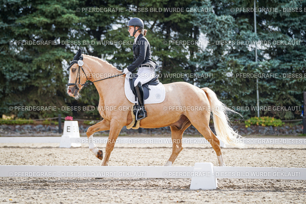 DSC00882 | Pferdegrafie