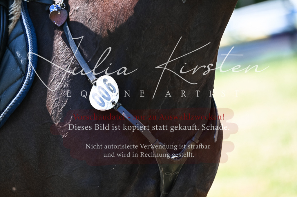 DSC_0198 | Pferde- und Turnierfotografie in Westsachsen. Pferdeportraits, Auftragszeichnungen und intuitive Kunst.