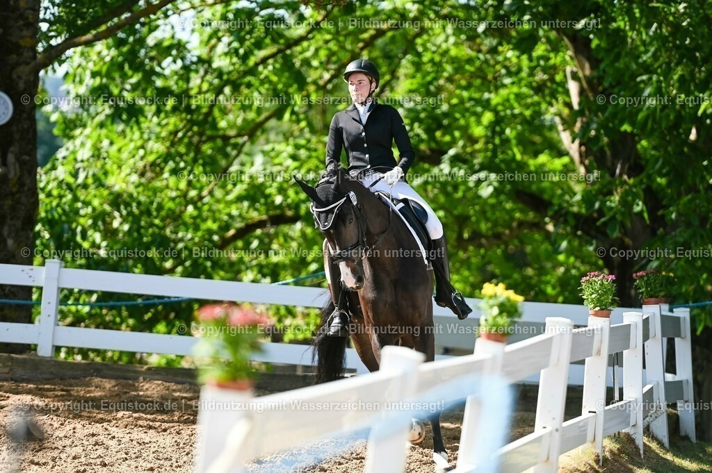 20230715_06_Dressurpferdeprfg. Kl.A_0365 | equistock