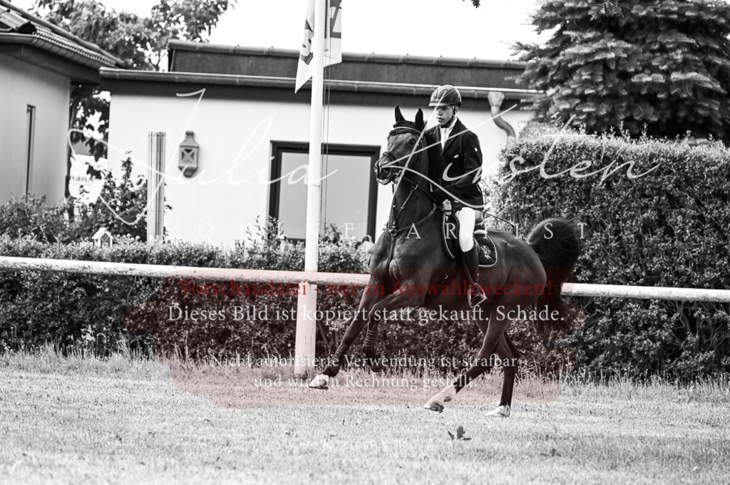 DSC_8941 | Pferde- und Turnierfotografie in Westsachsen. Pferdeportraits, Auftragszeichnungen und intuitive Kunst.
