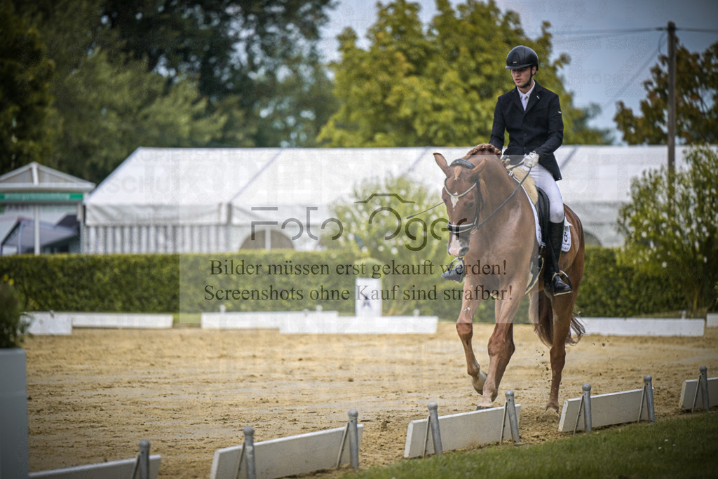 DOS_1670 | Entdecke hochwertige Reitturnierfotos von Foto Oger. Professionell, emotional und authentisch – jetzt Lieblingsmomente im Shop bestellen.Deutschlandweite Turnierfotografie. - Realisiert mit Pictrs.com