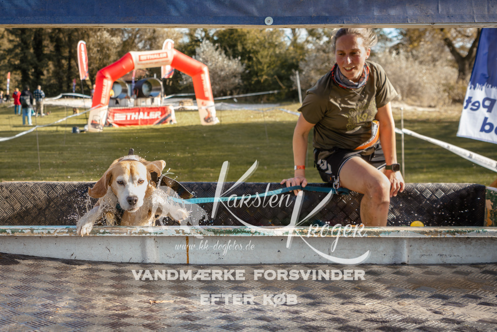 1456_ZZ95276-2 | kk-dogfotos