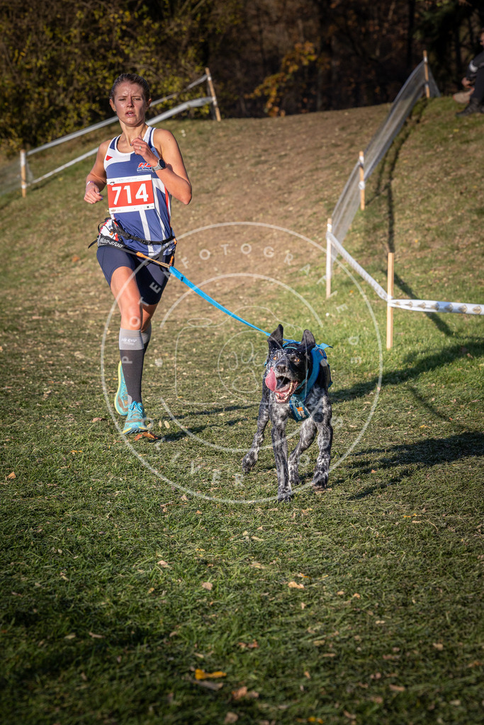 CaniXpix_0L8A9539 | Hundefotografie, Tierfotograf, Pfotenfotografie, Fotoshooting Hund, Hunde Portrait, Hundesport, Hundeportraits, Heideshooting, Hunde, Sportfotograf, Hundefotograf, Turnierhundsport, THS,  - Realisiert mit Pictrs.com
