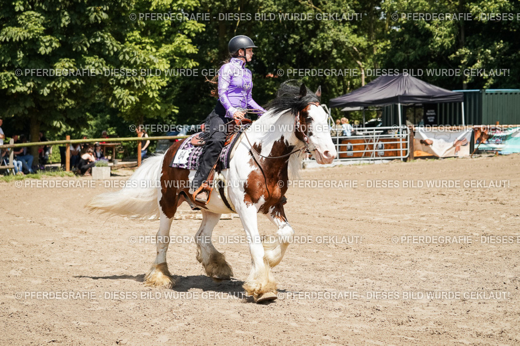 DSC07506 | Pferdegrafie