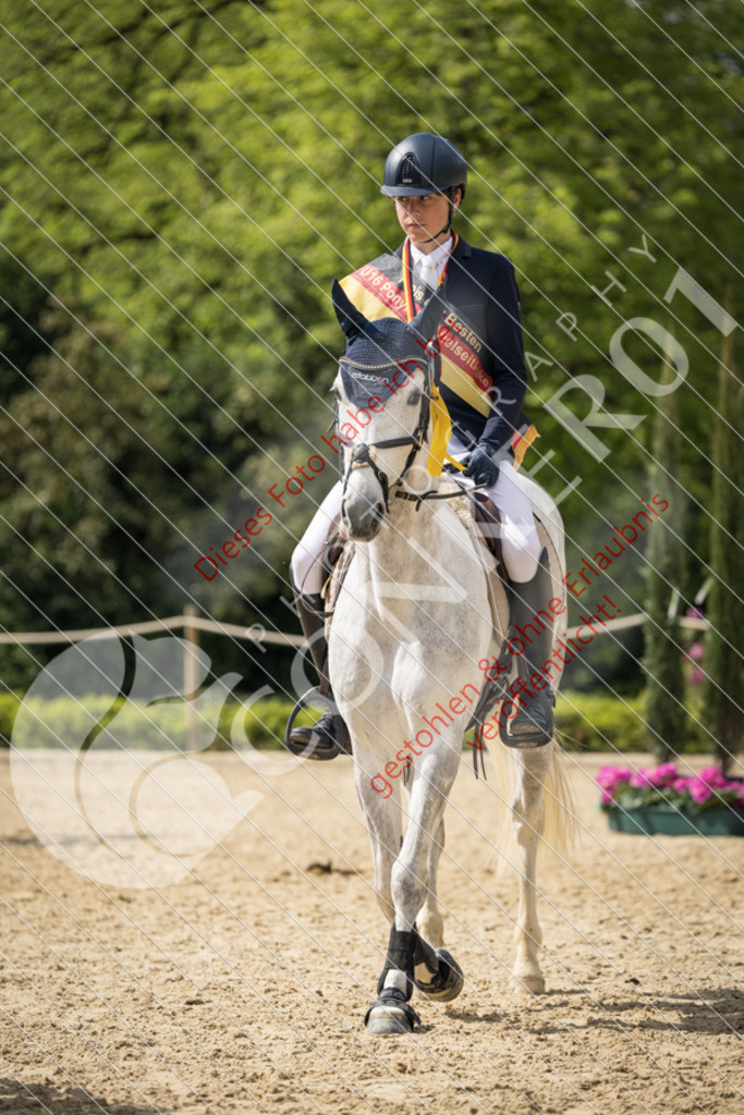 CON_0816 | Sport-, Event- und Tierfotos in Profiqualität. Einfach auswählen, bestellen und herunterladen. Dein Moment – perfekt festgehalten.