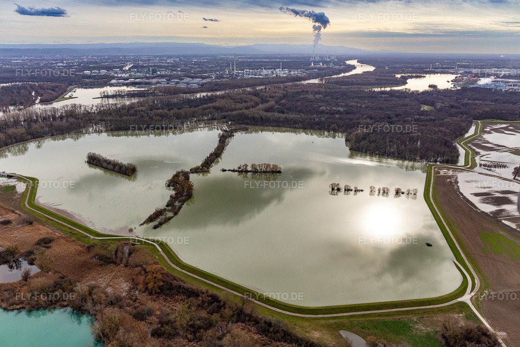 Luftbild: Überflutete Flutungswiesen des Polder Neupotz am Hochwasser- Pegel führenden Flußbett des Rhein in Neupotz im Bundesland Rheinland-Pfalz in Deutschland. Foto: IMG_124228.jpg vom 04.02.2021 durch Werner Riehm/FLY-FOTO.de
