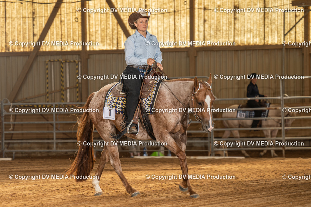 NID03210 | dv-media-shop - Realisiert mit Pictrs.com