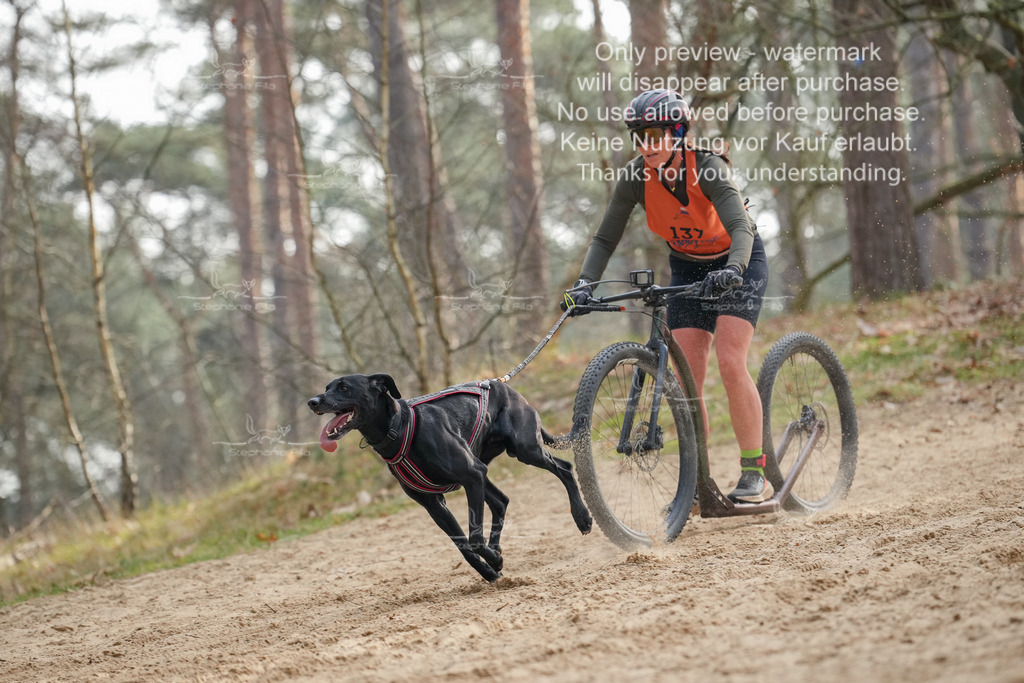 Scooter2-4 | stephaniefillaphotographie - Realisiert mit Pictrs.com