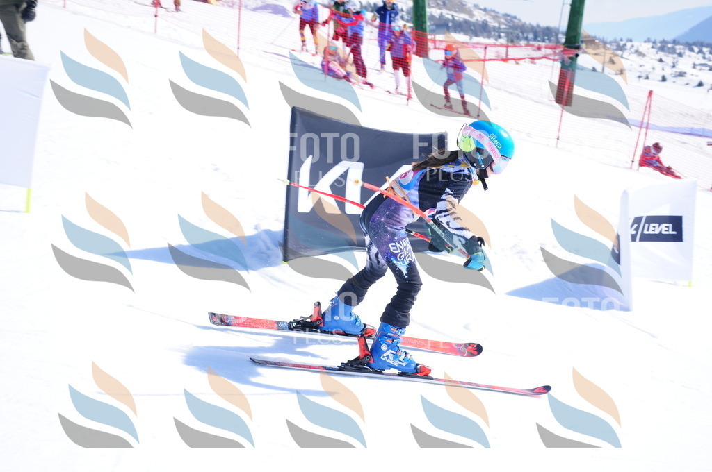 DSC_4374 | holidayphoto