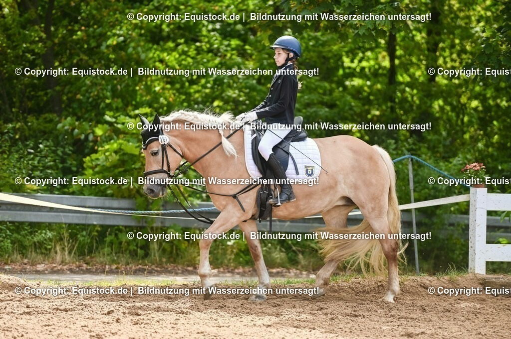 20230716_10-2_Reiter-WB Schritt - Trab - Galopp_0185 | equistock