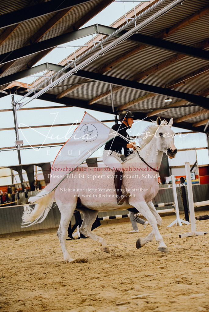 DSC_6994 | Pferde- und Turnierfotografie in Westsachsen. Pferdeportraits, Auftragszeichnungen und intuitive Kunst.