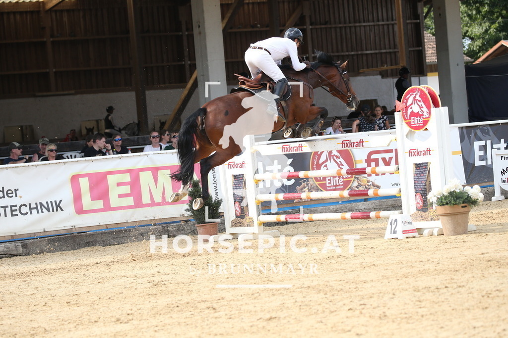 DL2Q5037 | Willkommen bei Brunnmayr - Design & Fotografie – Ihrem Spezialisten für Reitturniere und Pferdeveranstaltungen in Oberösterreich, Salzburg und Bayern! Seit über 17 Jahren sind wir leidenschaftlich dabei.